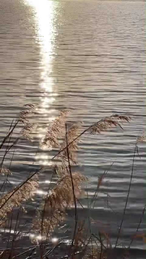 Vertical Minimalist Water Surface with Warm Sunset Glow Vídeo Stock 334765011