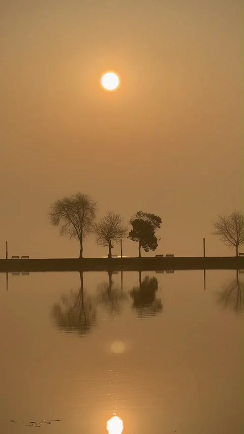 Vertical Misty Sunset Over Lake with Tree Silhouettes Видео 333488099