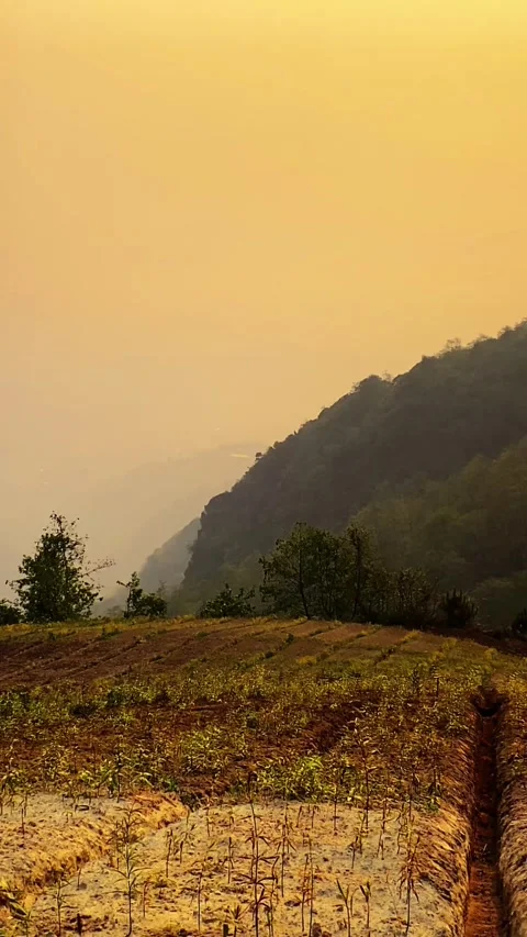 Vertical Misty Terraced Fields and Mountain Landscape in Rural China Stock-Footage 332962087