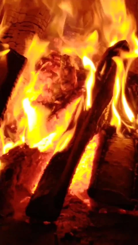 Vertical mobile video. Fireplace with fire in the house Stock Footage 205070476