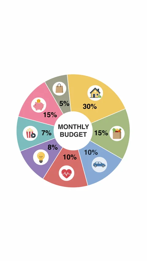 Vertical Monthly Budget Pie Chart Stock Footage 339365473