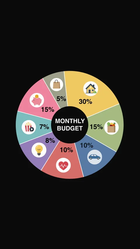 Vertical Monthly Budget Pie Chart Stock Footage 339365476