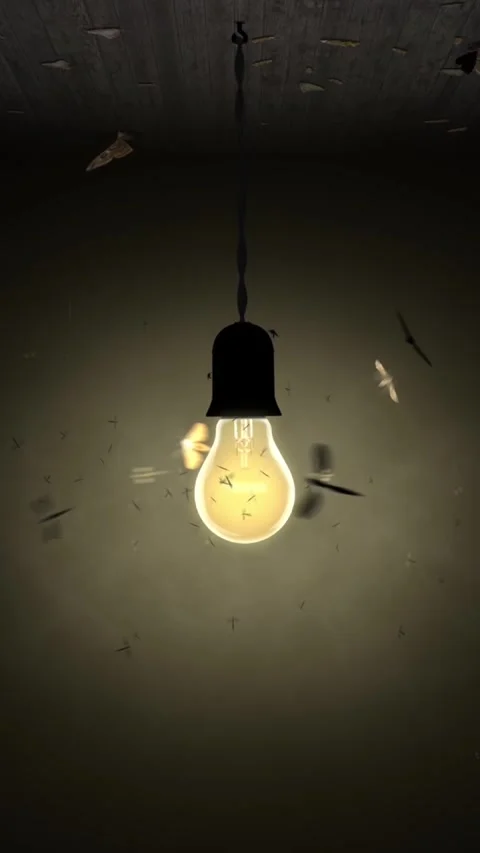 Vertical Like Moths to a Light Bulb 4K Loop Stock Footage 274406550