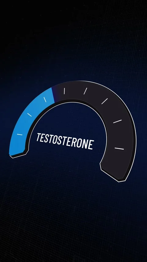 Vertical motion graphic showing testosterone level meter rising and falling,  Stock-Footage 329582366
