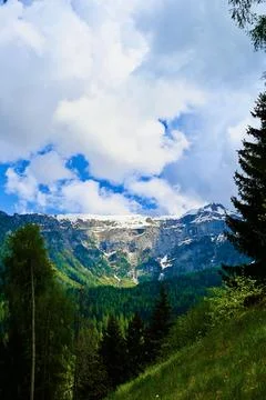 Vertical Mountain Landscape with Pine Trees and Dramatic Clouds Stock Photos