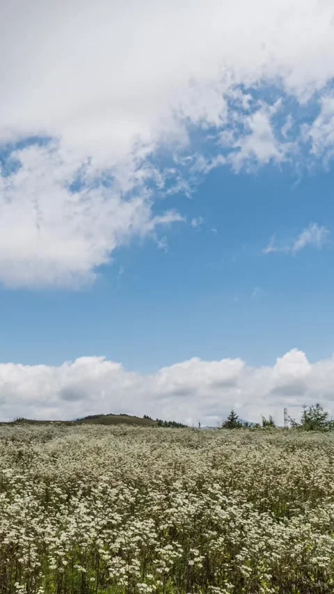 Vertical Mountain Peak Clouds Flow Nature Landscape Motion Timelapse Stock Footage 327670842