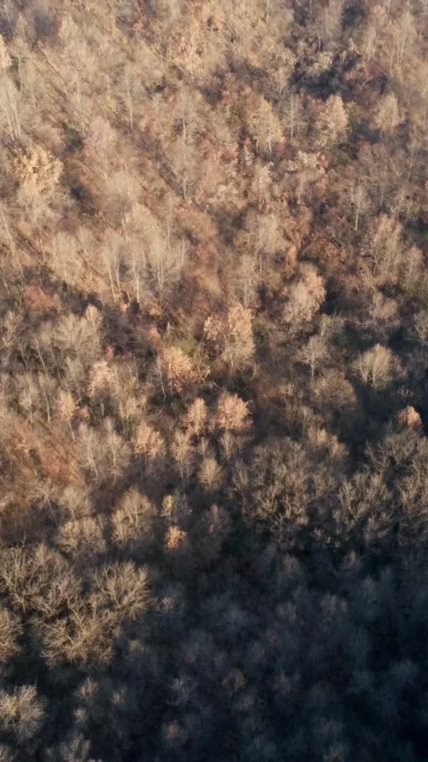 Vertical Mountain Peak Road Aerial View Drone Motion Scenery Stock Footage 327678061