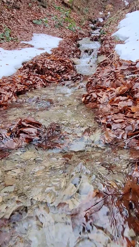 Vertical mountain stream with flowing water and natural sound Stock Footage 329559613