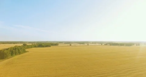 Vertical movement flight near high voltage electricity tower and power lines at Stock Footage 115078065