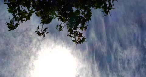 Vertical MS, cirrus cloud layers moving different directions under diffused sun Stock Footage 152523257