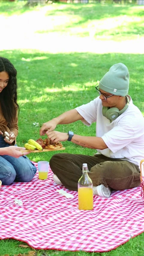 Vertical Multicultural Friends enjoying picnic in a park Stock Footage 314337956