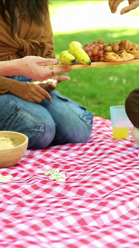 Vertical Multicultural Friends sharing food at a picnic in the park Stock Footage 314337959