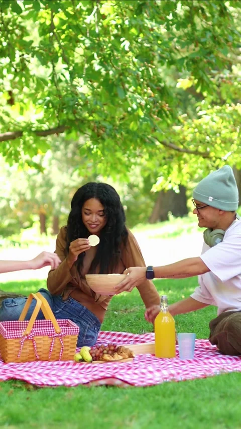 Vertical Multicultural Young Couple Sharing Food at a Romantic Picnic in th.. Stock Footage 314337940