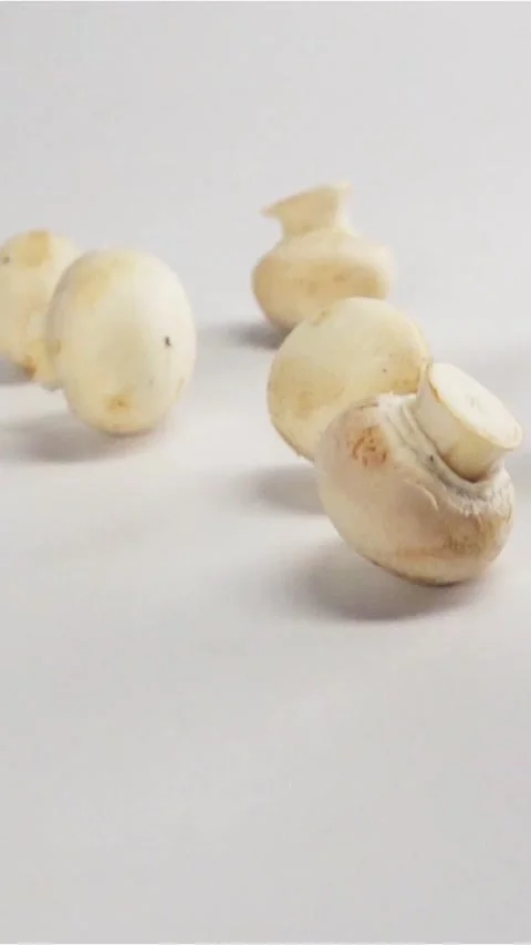 Vertical of Mushrooms throw out from the camera Stock Footage 305516706