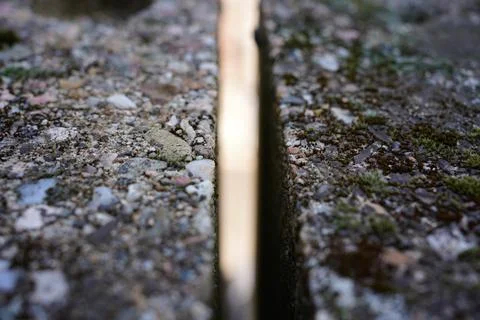 Vertical narrow gap between textured concrete slabs with moss and pebbles mac Stock Photos