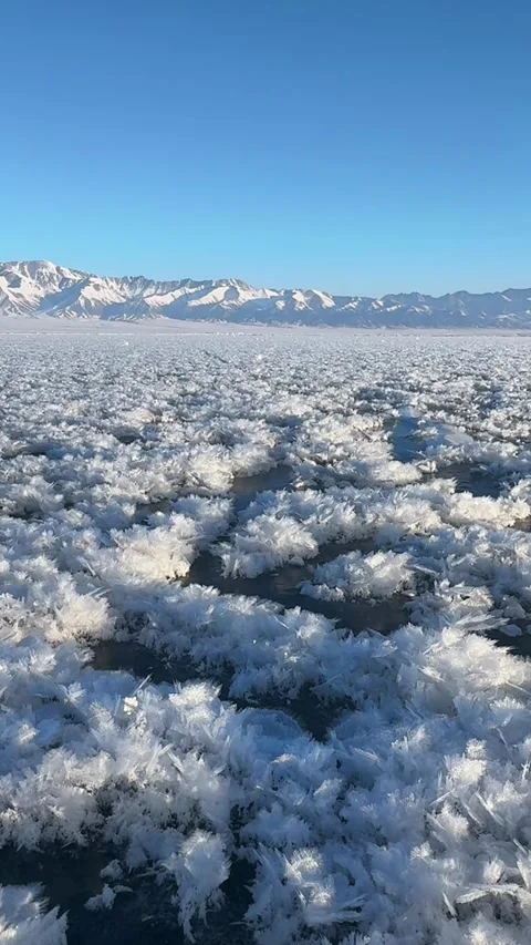 Vertical Natural Winter Background with Ice Flowers and Mountains Vídeos de archivo 334726634