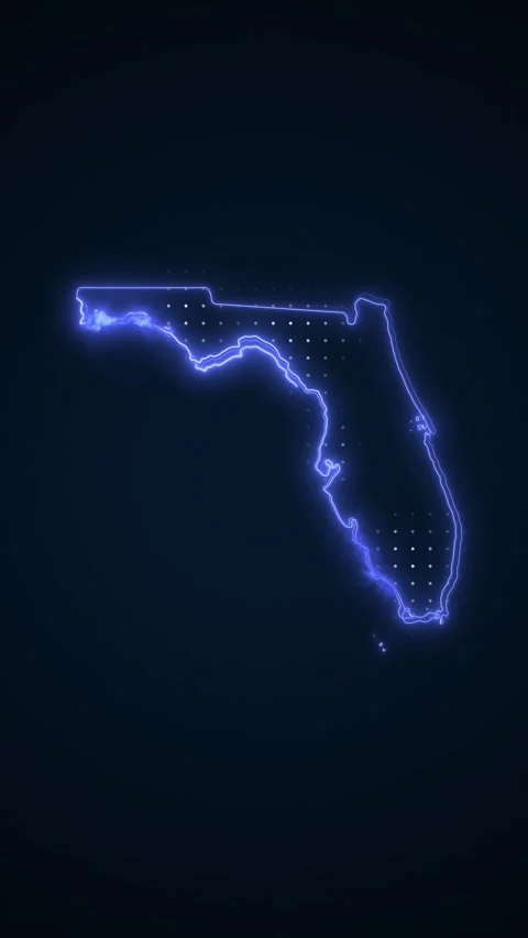 Vertical Neon Blue Florida Map Borders Outline Loop Background Stock Footage 345865176