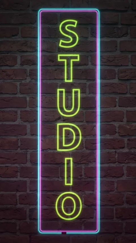 Vertical Neon Studio Sign Flickering on Red Brick Wall Background Stock Footage 339837836