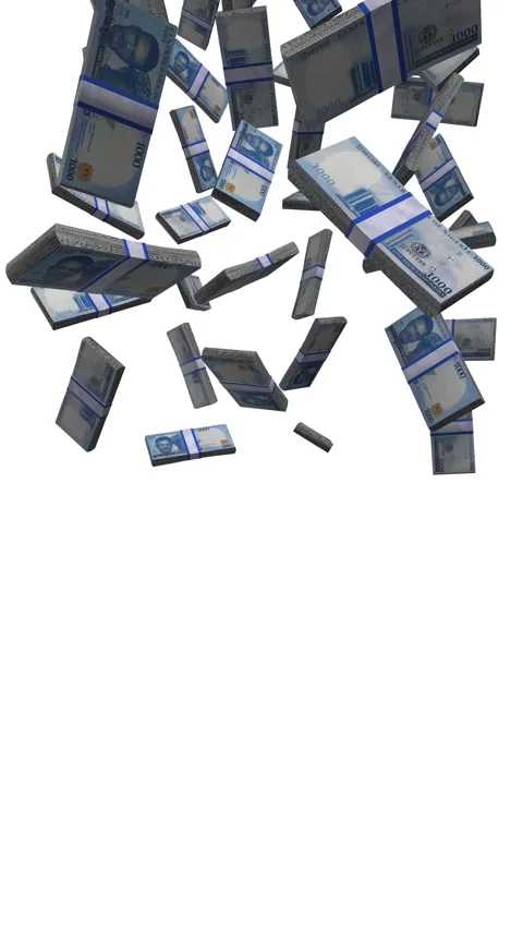 Vertical Nigerian Naira Stack Of Money Falling Animation on White Screen  Stock Footage 285270428