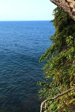 Vertical Ocean View Framed by Leaning Tree and Foliage on a Coastal Cliff Stock Photos