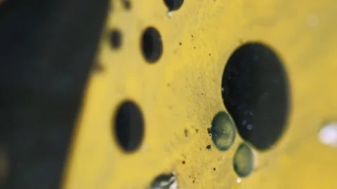 Vertical oil bubbles blur liquid dripping ink mix Stock Footage 339768669