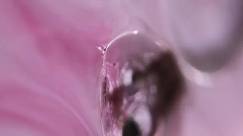 Vertical oil bubbles fizzy liquid pink paint water Stock Footage 295585003