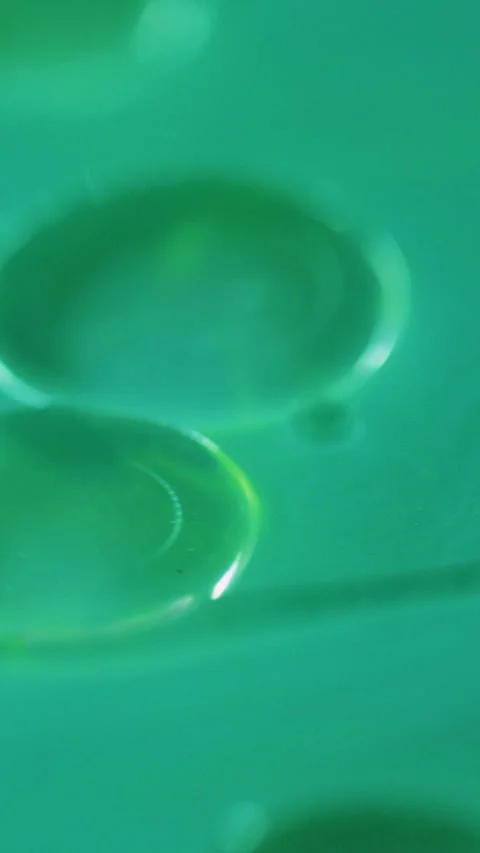 Vertical oil bubbles fizzy liquid green paint gel Video stock 303840204