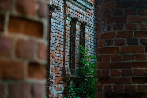 Vertical, old building windows through brick columns, framing Stock Photos