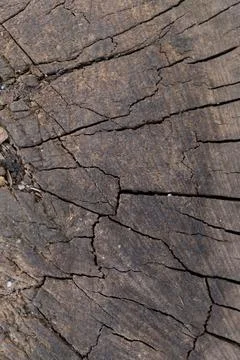 Vertical Old Dark Tree Trunk Cross Section Texture Background Stock Photos