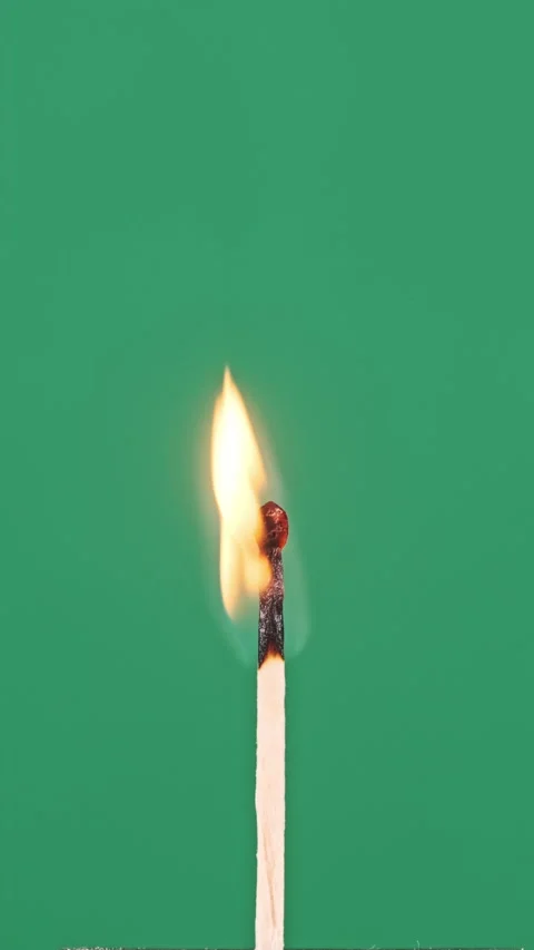 Vertical One Match Stick Ignites and Burns on a Green Background Close-Up Stock Footage 263964532