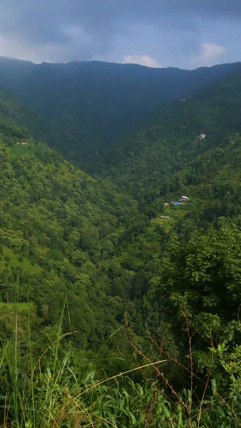 Vertical or Portrait view of green hill full of forest Stock Footage 249352111