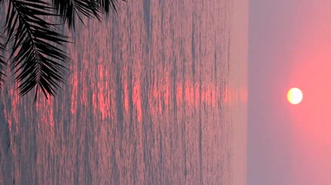 Vertical orientation sunset over sea Stockbeeldmateriaal 42803106