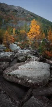 Vertical Orientation View With Rocks, Yellow Leaves Trees And Hill On The Stock Photos