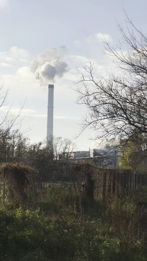 Vertical outside view of smoke from a factory smokestack Stock Footage 221634233