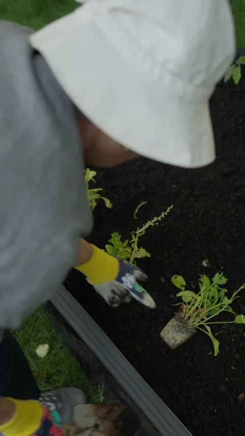 Vertical Over-the-shoulder shot of a Hispanic woman gardening Stock Footage 246388583