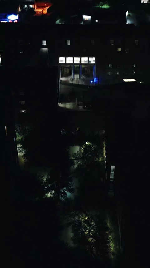 VERTICAL OVERHEAD TREES TILT TO CITY NIGHT Stock Footage 248577253