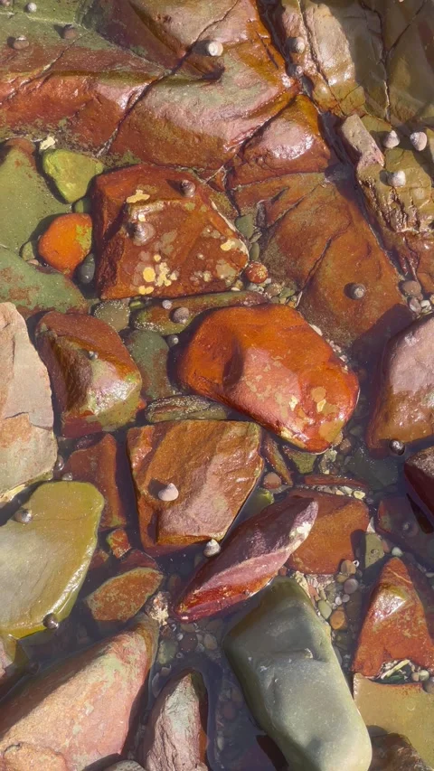 Vertical Overhead View of Reddish Coastal Pebbles in Shallow Water Stock Footage 340775041