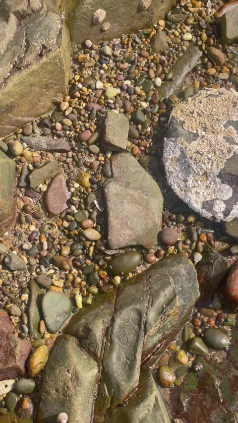 Vertical Overhead View of Smooth Pebbles and Rocks in Coastal Tide Pool Stock Footage 340775055