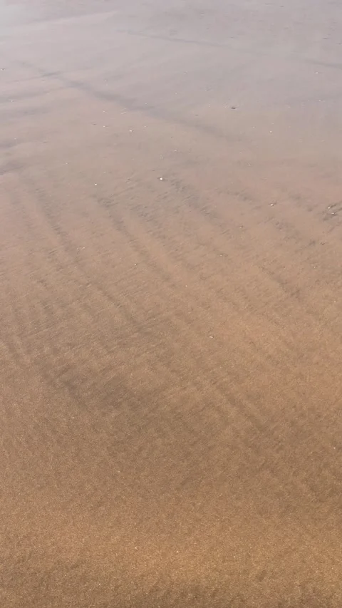 Vertical Overhead View of Smooth Wet Beach Sand with Ocean Ripples Stock Footage 340774872