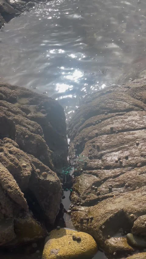 Vertical Overhead View of Water Flowing Between Rocky Crevices Stock Footage 340775071