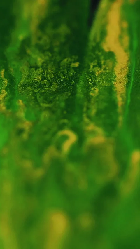 Vertical paint drip glitter ink mix green yellow Stock Footage 292860845