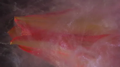 Vertical paint water flower abstract fume tulip Video stock 341453338