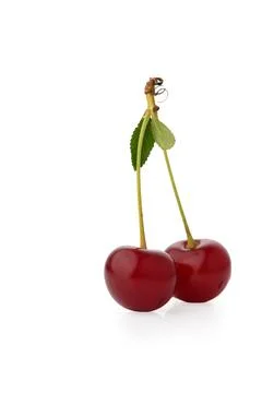 Vertical Pair of Fresh Red Cherries with Shared Stem and Green Leaves Stock Photos
