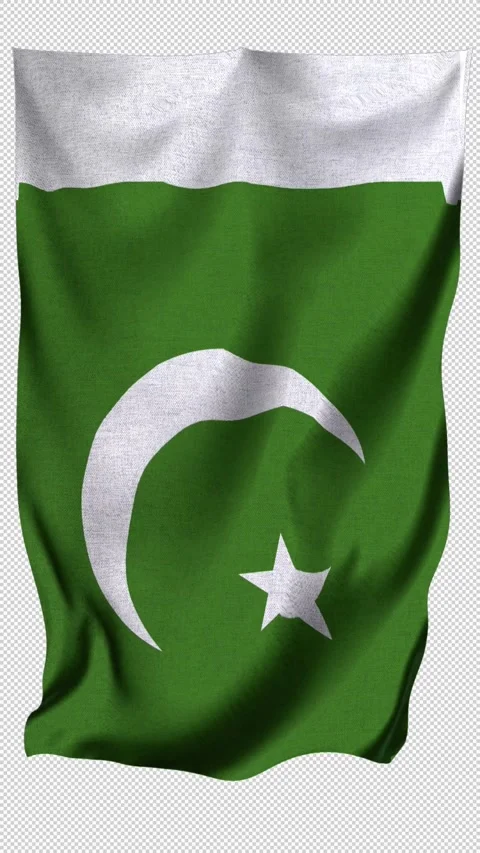 Vertical Pakistan Flag Stock Footage 340148332