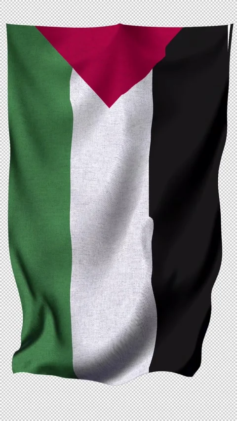 Vertical Palestine Flag Stock Footage 340383713