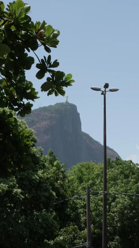 Vertical pan and zoom over a Rio Carnaval crowd near Jardim Botânico, with Stock Footage 336589877