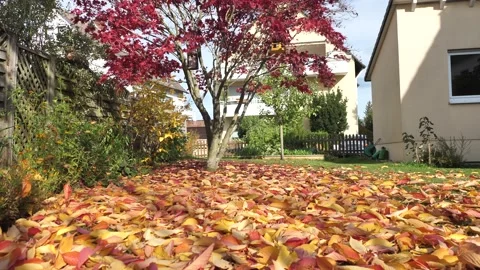 Vertical Pan Of Beautiful Red and Yellow Autumn Leaves On Ground Video stock 143673190