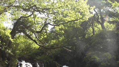 Vertical pan down large waterfall with spray Video stock 92576250