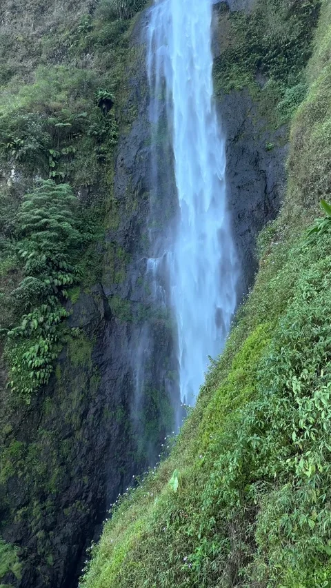 Vertical Pan Down Tropical Waterfall to Man Looking at Green Mountain Valley Stock Footage 323910448