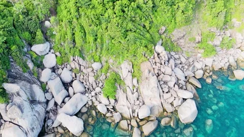 Vertical pan up Stock Footage 257560538